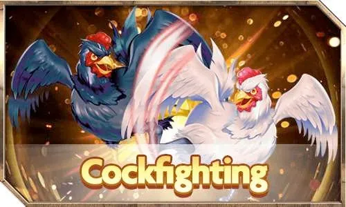 cockfighting